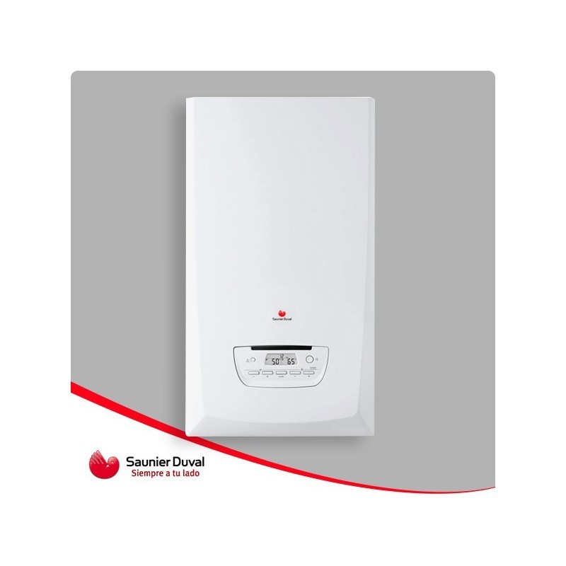 SAUNIER DUVAL THEMAFAST CONDENS 30